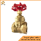  API Bronze Brass Class Flanged Flexible Wedge Gate Valve