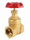 Manual Female Thread Water Forged 200 Wog Brass Gate Valve