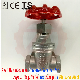 Dn50 Russia GOST Screw Gate Valve