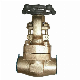  Forging Manual Forged ASTM B62 Female Bsp NPT Threaded Bronze Gate Valve