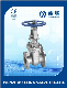  Cast and Forged Gate Valve (Z41H) Flange End 10K/150lb Gate Valve