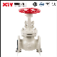 Xtv Carbom Steel Flanged Globe Valve for Pump System