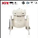  Xtv ANSI Swing Type Check Valve for Heavy Duty Wcb/Stainless Steel