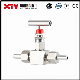 Xtv Butt Weld Handle Wheel High Pressure Needle Valve