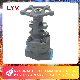  Factory Price F304 F316L F11 F22 Gate/Globe/Check Valve 800lb 1500lb A105 Forged Carbon Steel Flange Valve