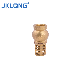 Brass Foot Valve Hot Sale Product China Manufacturer Brass Valve Factory F/F Thread Check Valve Company Distributor OEM/ODM Wholesale Brass Foot Valve