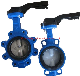 Multi Standard Ductile Iron Wafer and Lug Type Butterfly Valve