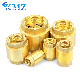  Brass Valves 1/2 to 4 Inch Female Thread Manufacture Vertical Forged Brass Spring Check Valve for Water