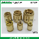  Quality Forging Brass Spring Check Valve with Brass Stick (AV-CV-5011)