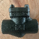 Cast Iron F304 Stainless Steel P58 Check Valve 1inch Forged Check Valve Swing Type Flanged Non Return Valve