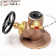 Bronze Gate Pattern Dry Riser Landing Valve BS5041