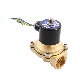  DC12V/24V AC220V 2W Brass Magnetic Electric Air Oil Water Valve Normally Closed Solenoid Valve