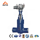  Power Station Pressure Seal Motorized Gate Valve (GAZ961Y)