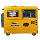 Air Cooled 5kw/6kw/7kw Silent Diesel Generator Set (DG6500S)