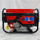  Factory Mini Electric Portable Petrol Gasoline Generator