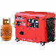  Slong 5kw 6kw 7kw 8kw Silent LPG / Ng Generator