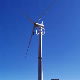 Wind Power Generators Hot Sale 100-300kw