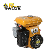 Power Value 3.5HP Gasoline Engine (EY15)