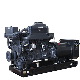 Silent Type 30kVA 24kw Silent Diesel Generator manufacturer