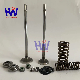  Diesel Engine Valve Components for Mining Machinery and Excavators, Engine Parts, C15/C18 1537023/2365605/1537024/4644668/4907198/4907199/4907200