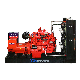 Copper Brushless Alternator 250kw Gas Generator with Ydn Engine