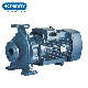 Pst Series Centrifugal Pump From Purity in Lahore for Agriculture