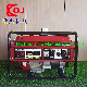 Goodsense Brand 1-6.5kw Recoil/Electric Start 100% Copper Wire Gasoline Generator