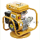  5.0HP 2 Inch Gasoline Petrol Robinedesign Concrete Vibrator