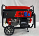 LPG Gas Backup Wholesale Inverter Portable Generator for Home