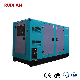  Ruixian Diesel Genset Generator China 25kVA Diesel Generator Manufacturing 313kVA 313kVA Powered Super Silent Diesel Generator Set 24 kVA Generator Set