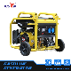 Bison Key Start Gasoline 3kw 3000W 380V Portable Petrol Generator