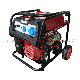 Natural Gas LPG Petrol Triple Fuel Generator Free Sample