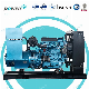  Hot Selling 400kw 500kVA Natural Gas/ Diesel Generator Generator Set