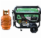  Slong 6kw Tri Fuel Generator Gas LPG Natural Gas Powered Generator Set