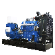 Three Phase Engine 40kw Biogas Generator Set