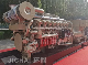 Silent Type New Energy Biogas Generator Set