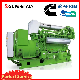  Natural Gas / Biogas/ Biomass / Generator Set