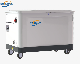  Ng+LPG+Petrol 23kw Multi-Fuel Standby Silent Power Generator Sets