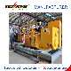 231kw Professional Supplier of Silent Natural Gas CNG LPG Generator