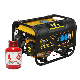  Power Value 2.5kw Gasoline Generator 168f-1 Natural LPG Biogas Gas Generator Prices