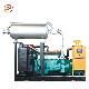 Wholesale Hot Selling Natural Gas/Biogas/ Generator with CHP System