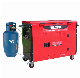 CNG Gas or Propane Powered Super Quiet 15kw/17kw