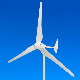  Horizontal Axis 2kw Wind Power Generator for Home