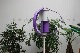 Best Price for Low Noise 100W Vertical Axis Wind Turbine with High Quality manufacturer