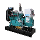 Natural Gas Genset, Small Natural Gas Generator