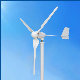 Wind Power Plant 1kw Wind Turbine/Wind Generator/Windmill for Home