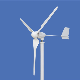  1000W 24V/48V Wind Power Energy Generator