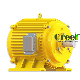 5kw to 5MW 3 Phase Permanent Magnet Generator for Hydro Generation System