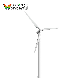  Wind Power Generation System Wind Turbine Generator Wind Energy Generator 10kw 20kw