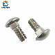  Stainless Steel Carriage Bolt (DIN 603)